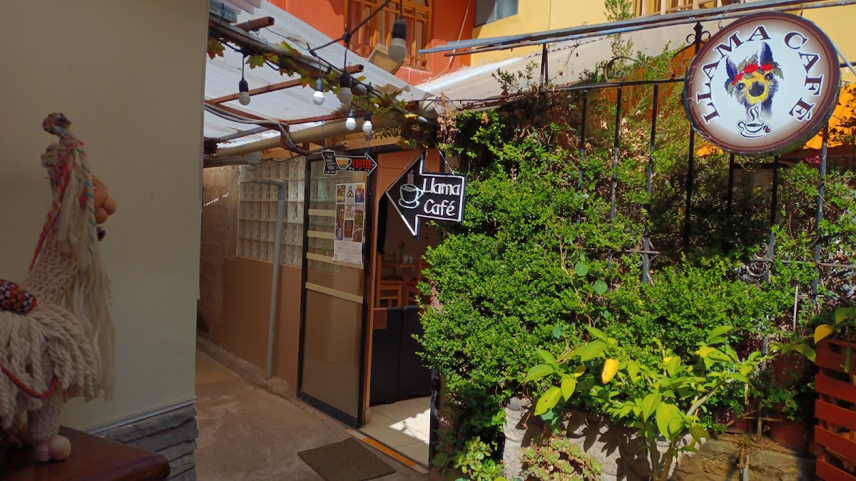 Llama Cafe