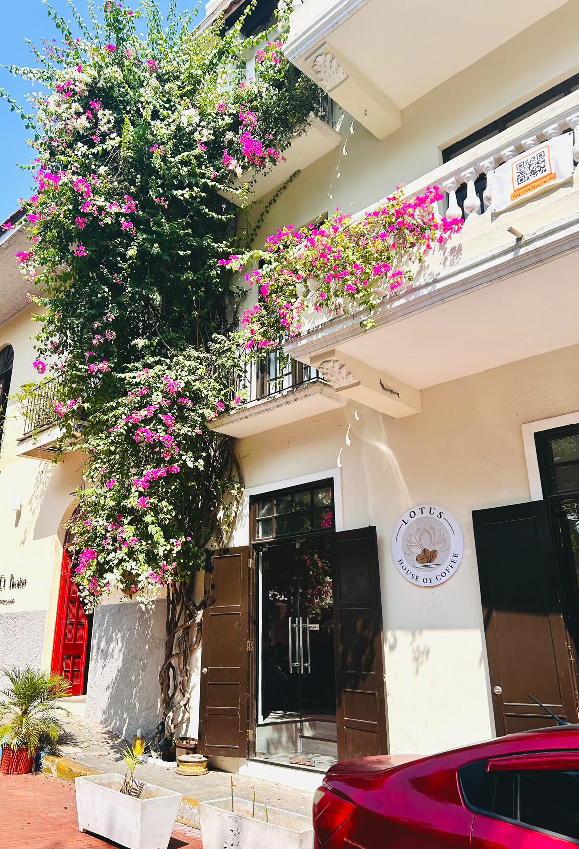Lotus House of Coffee | Casco Antiguo