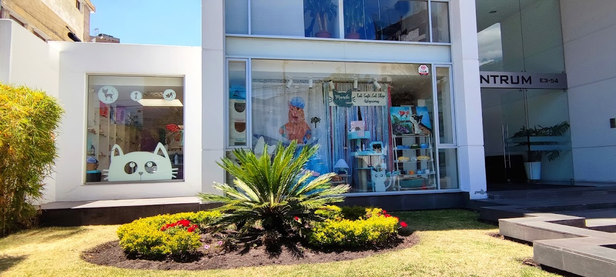 Maneki Gato Café