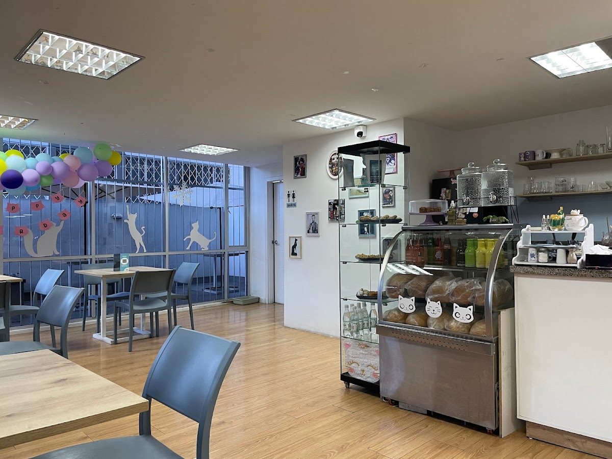 Gallery image 3