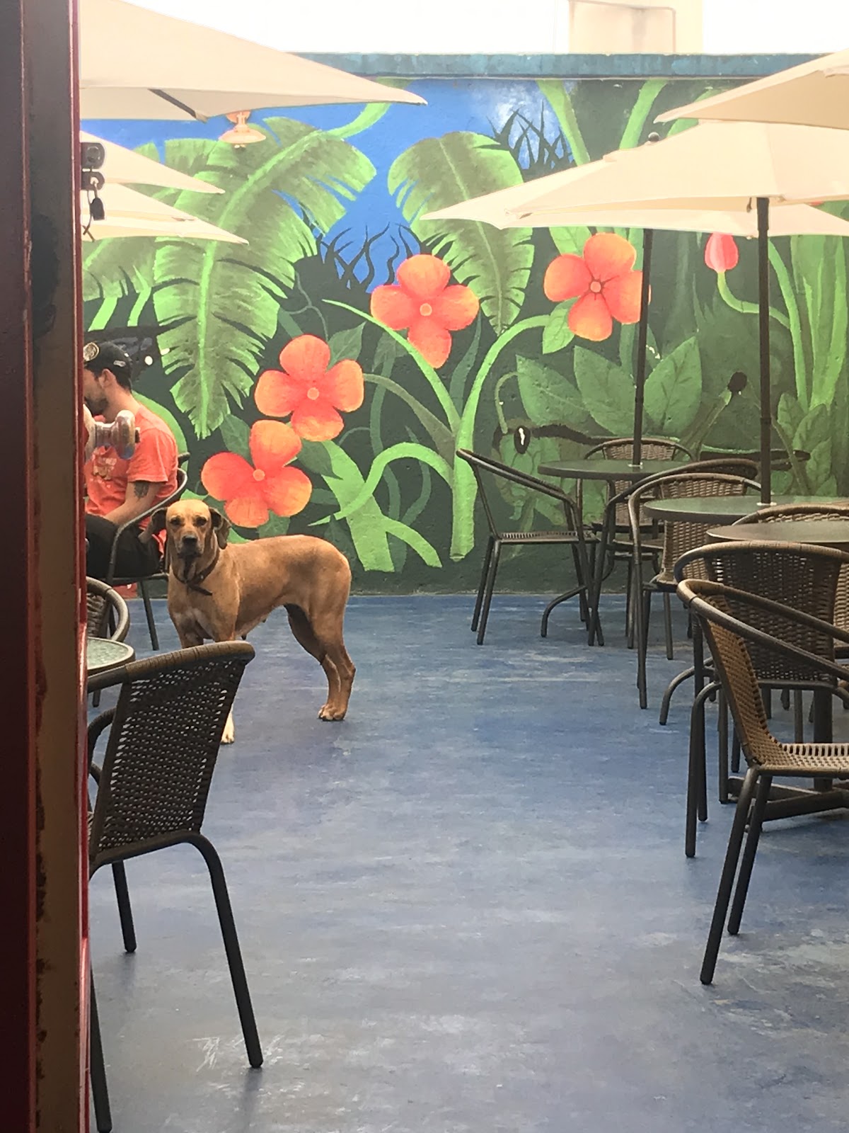 Martina Café ️
