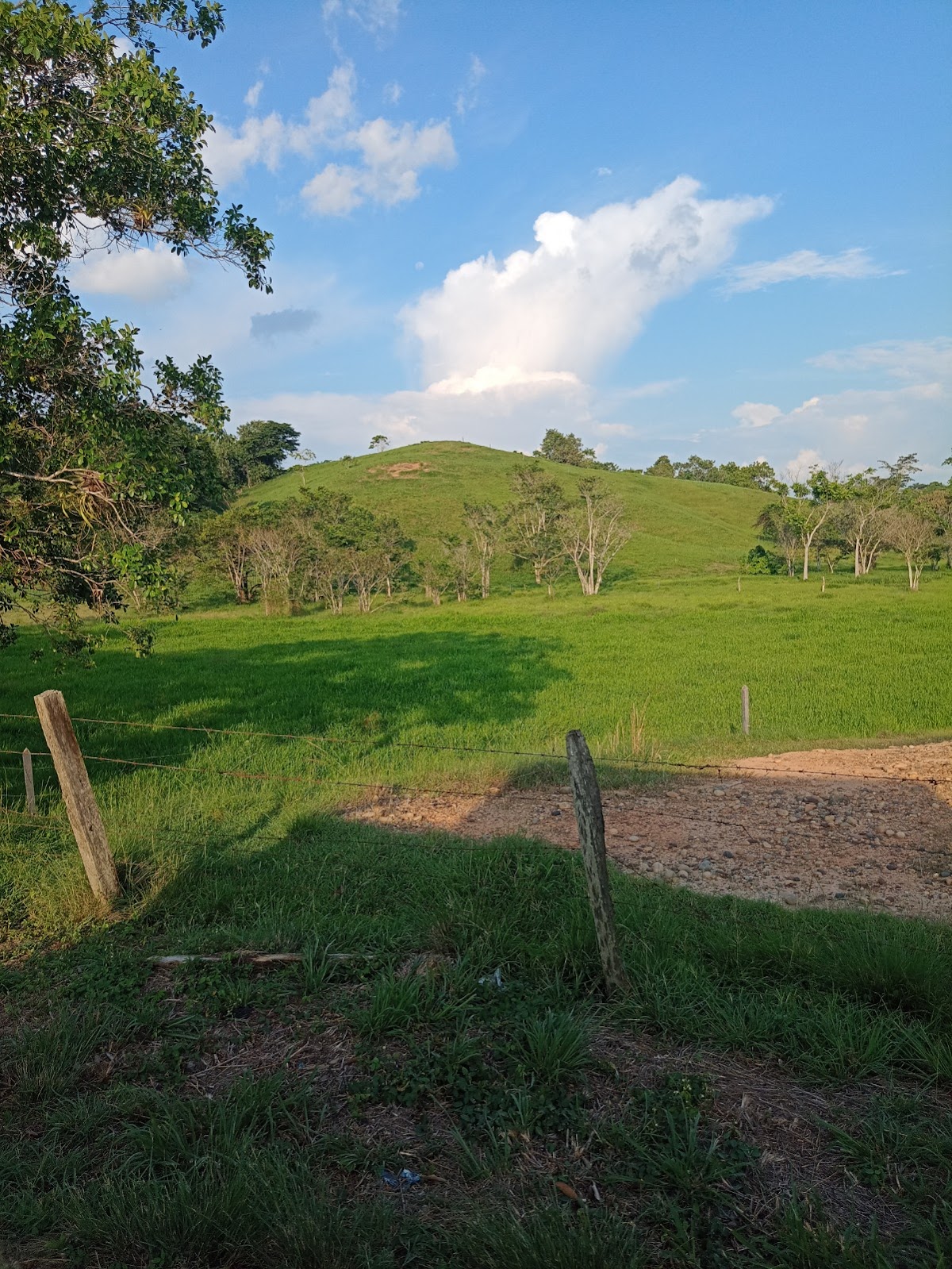 Mirador Don Ganso