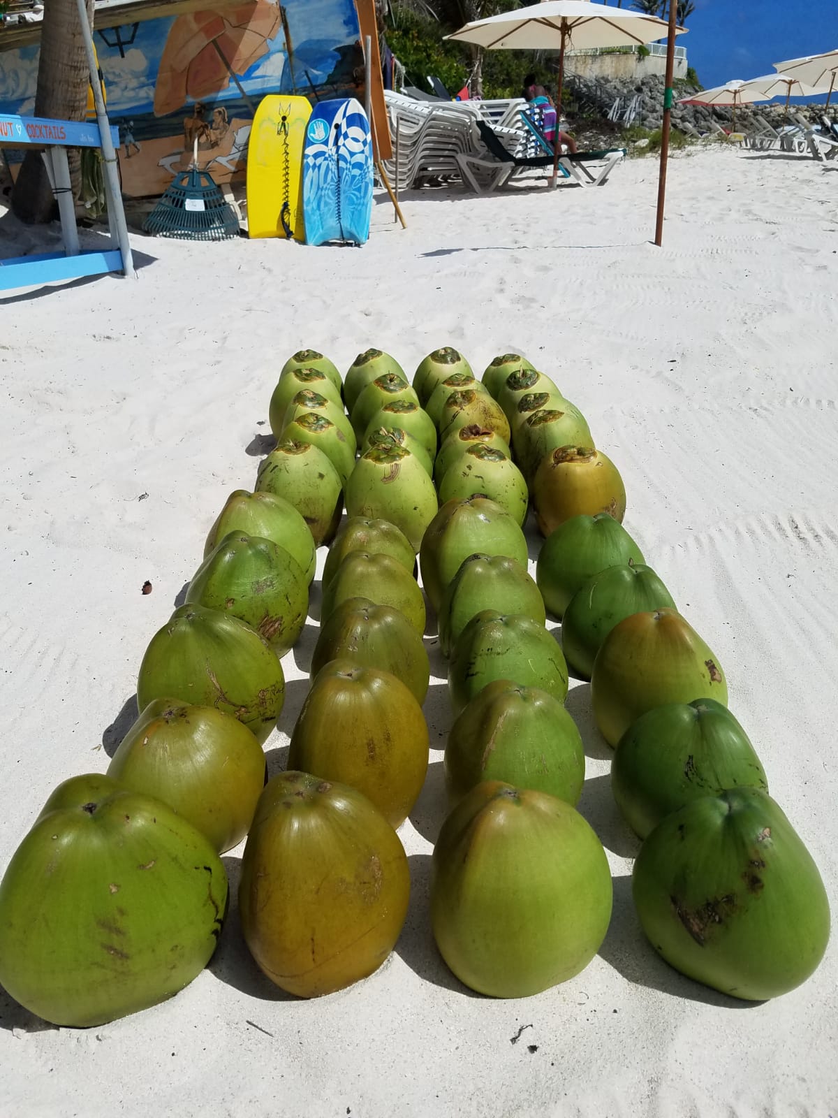 Official Coconut Cocktails
