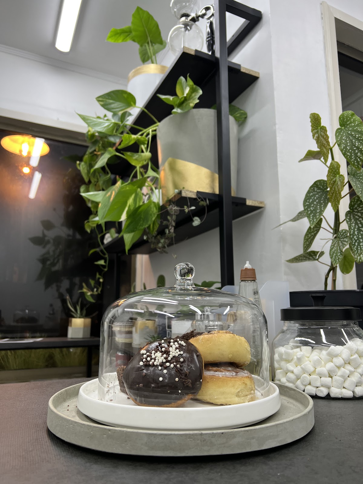One Shot Coffee Bar