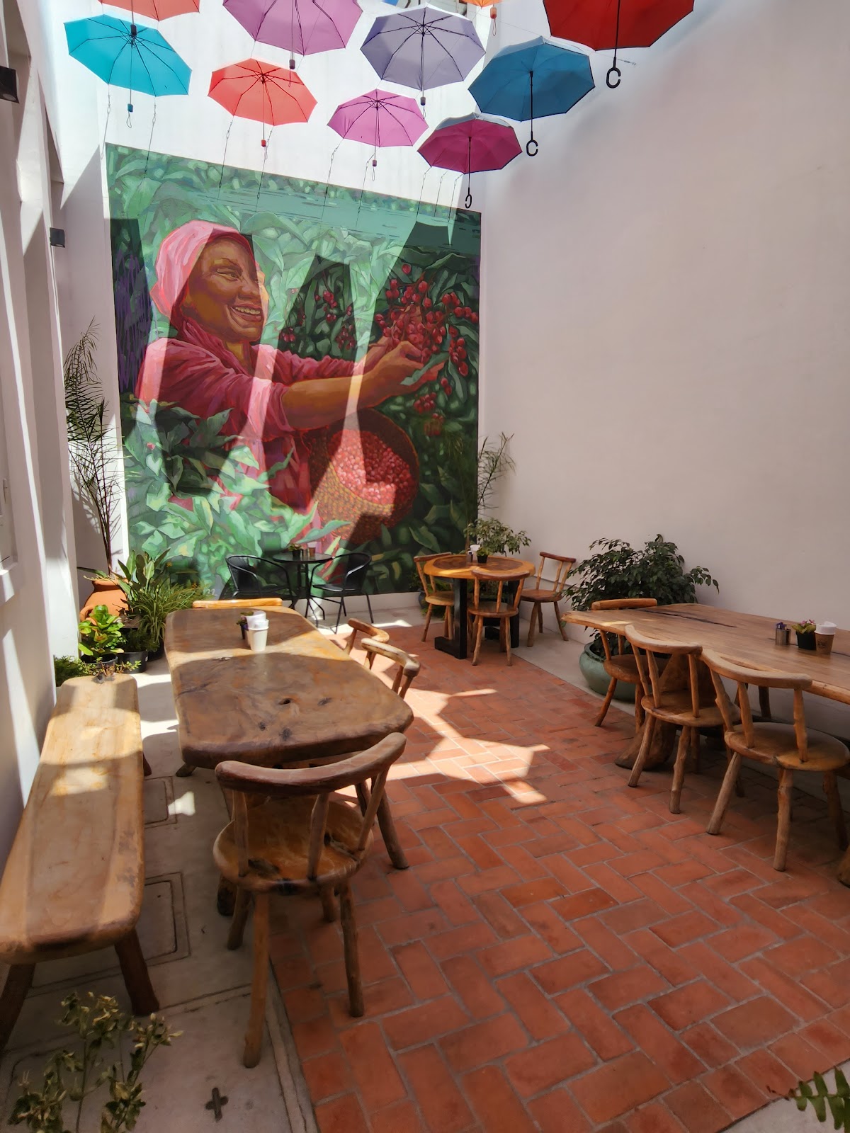 Gallery image 9