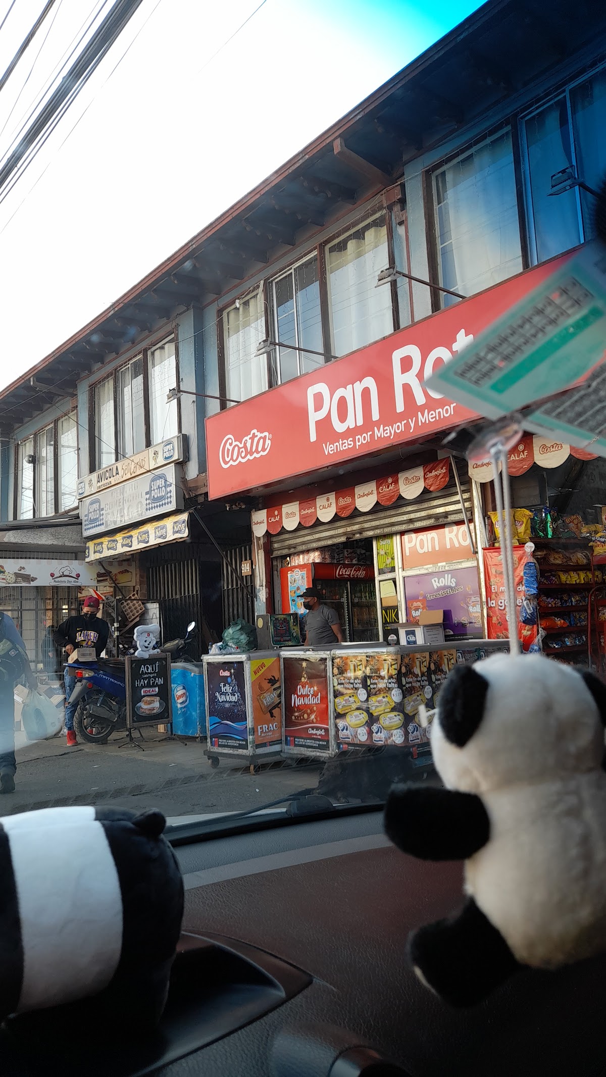 Pan Rot