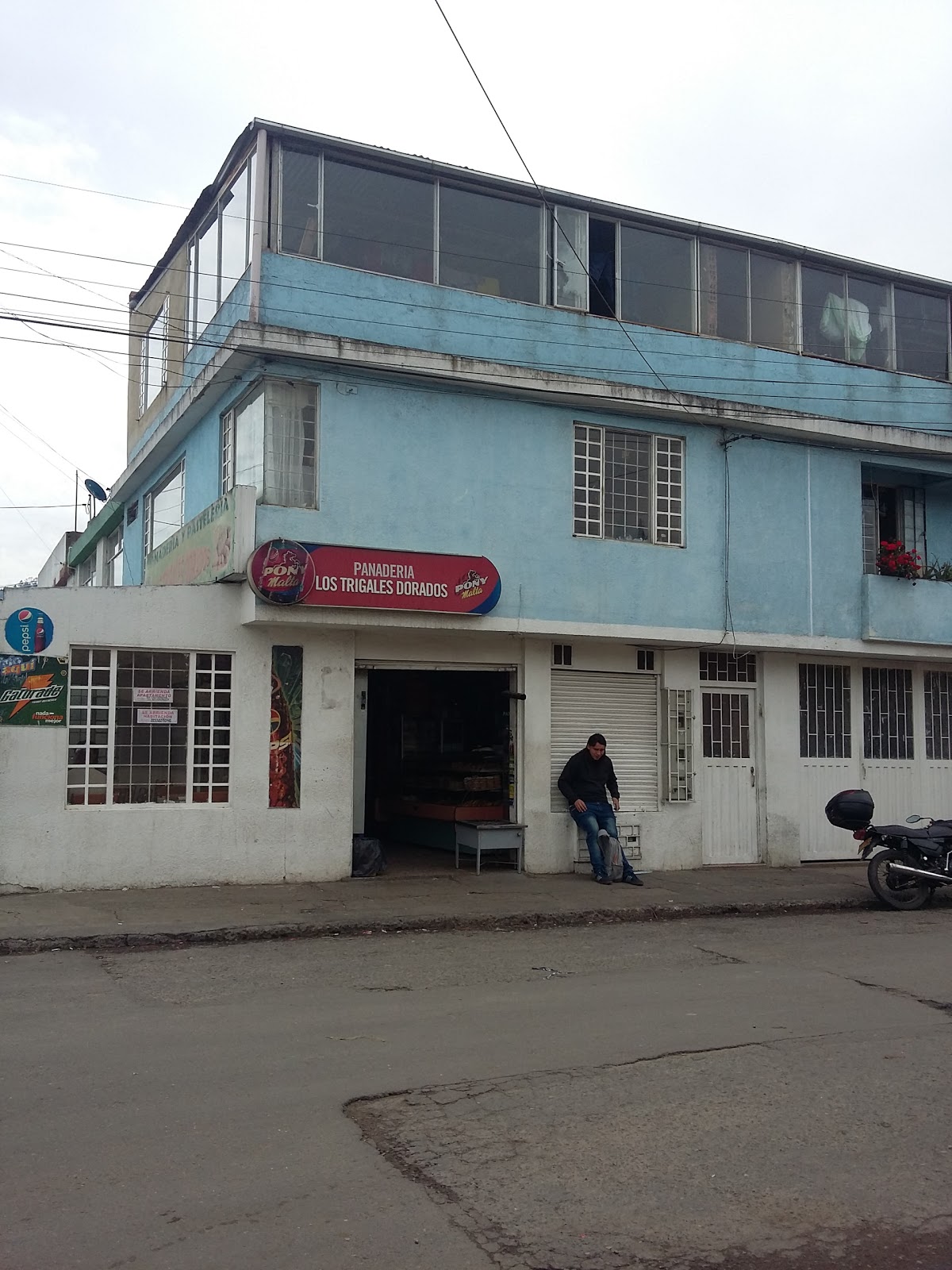 Panaderia Trigales Dorados