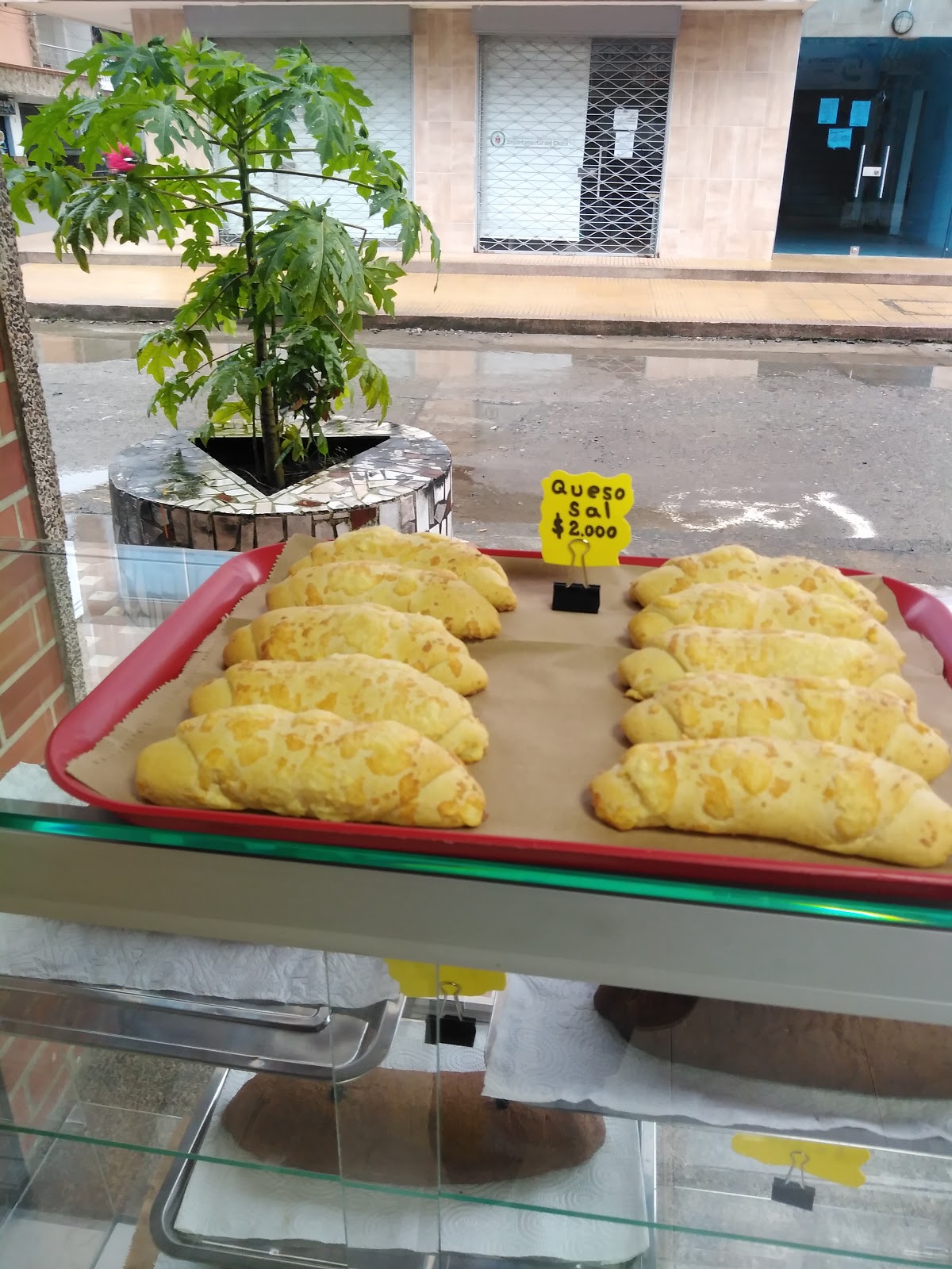 Panadería y Cafetería PANPACITO