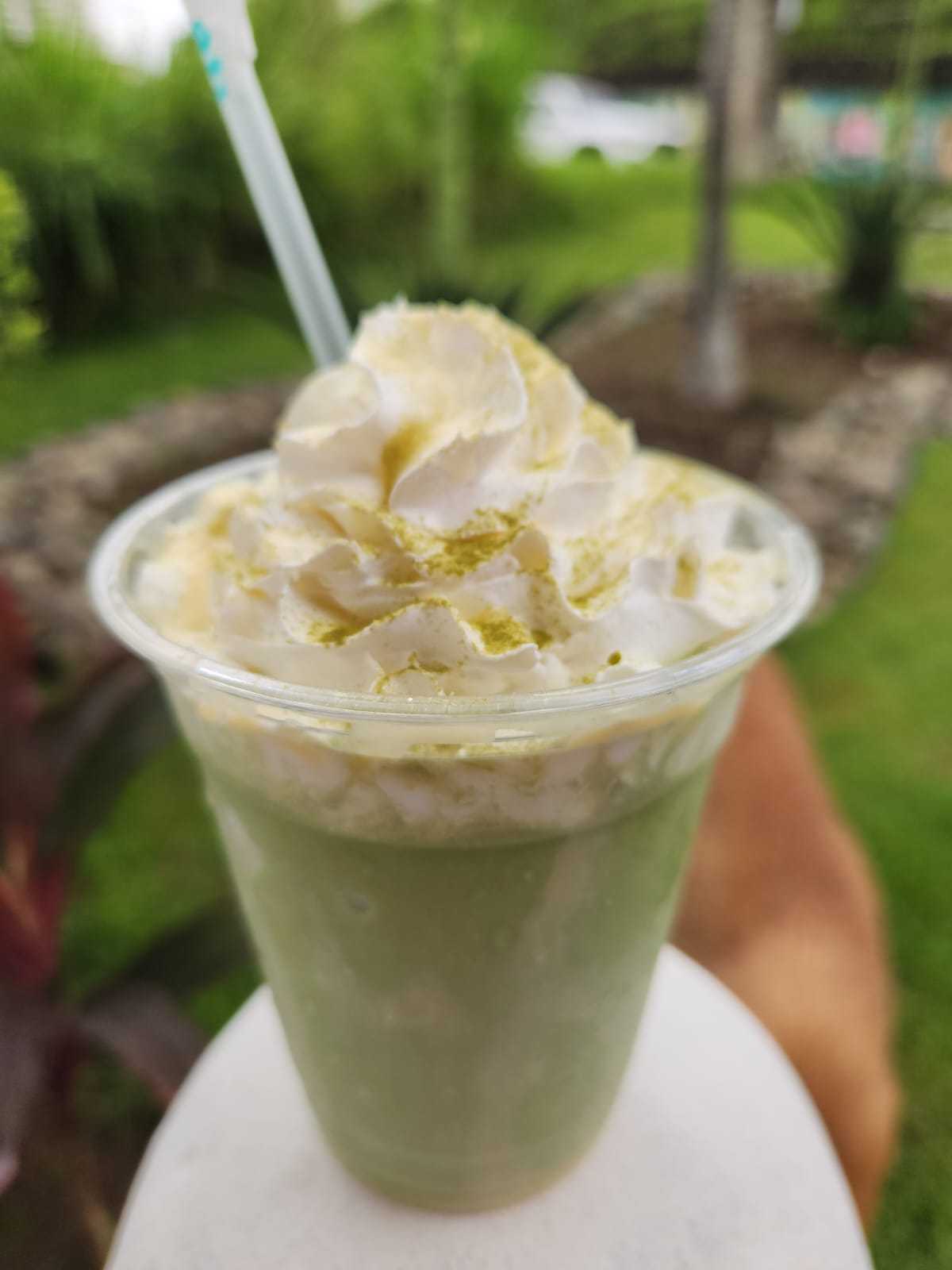 Panamá Barista