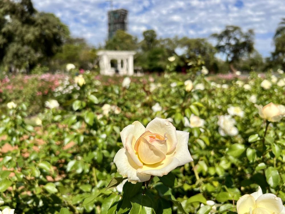 Parque 3 de Febrero