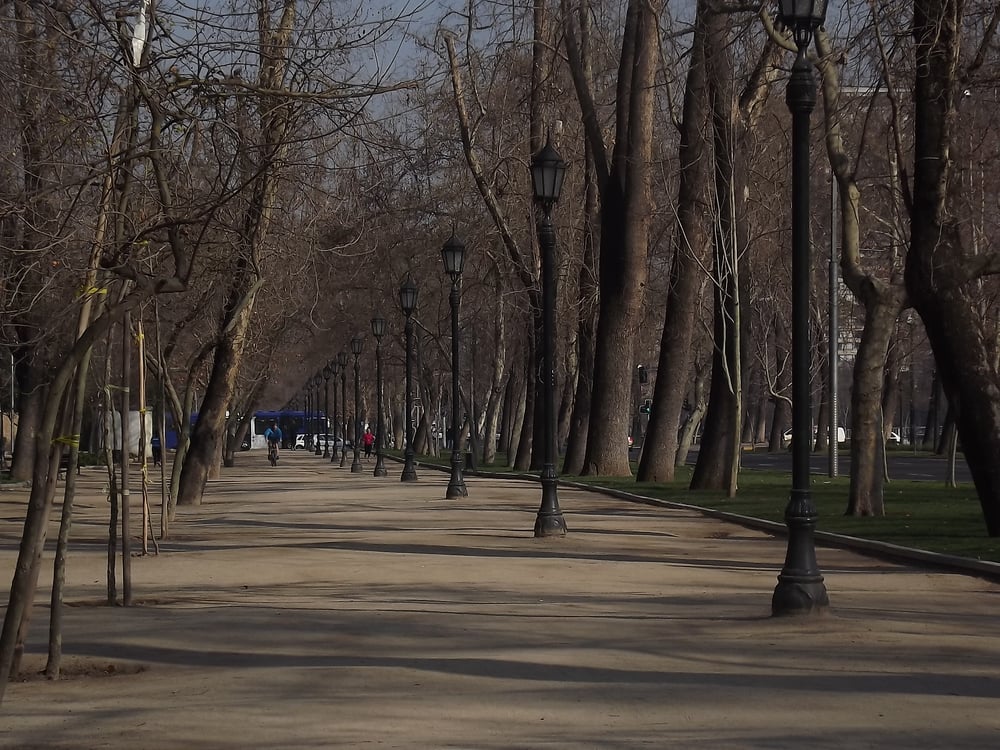 Parque Forestal