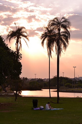 Parque da Cidade