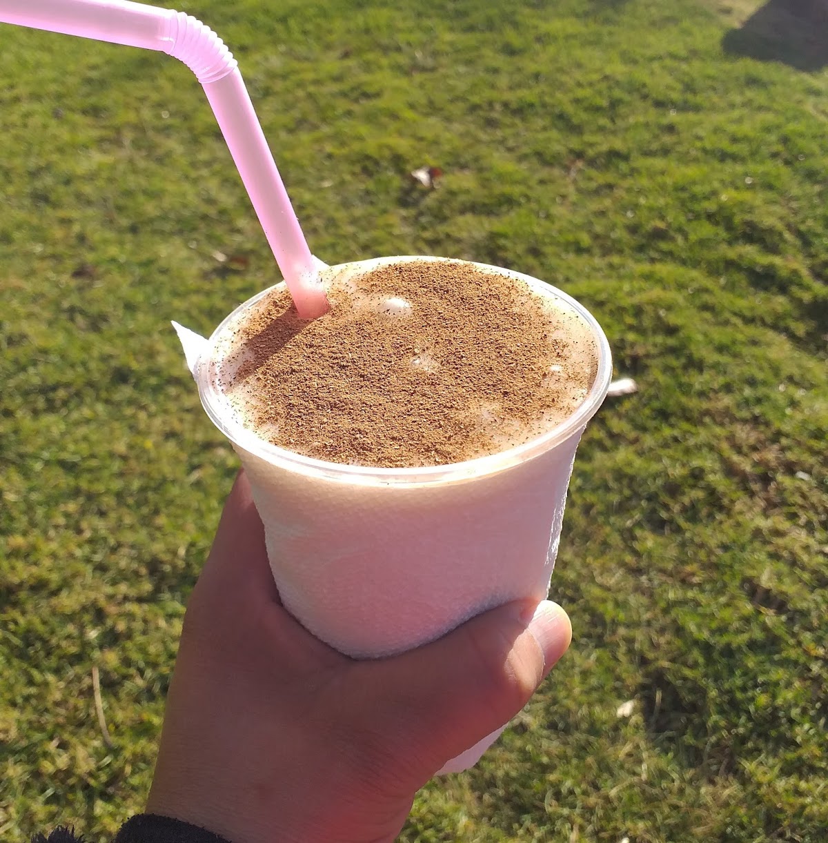 Que Sabor Chile