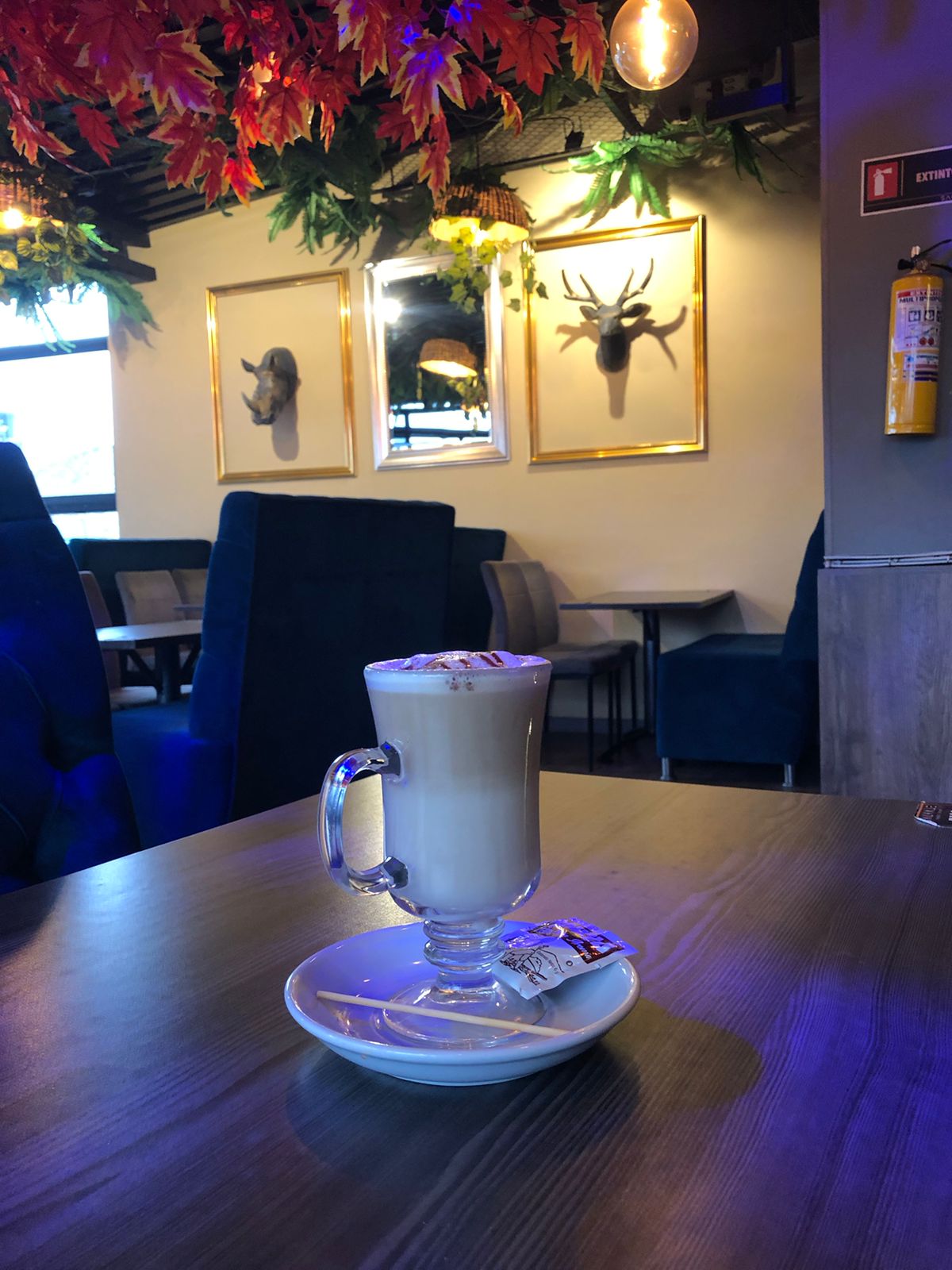 SALVAJE GastroPub - Sogamoso