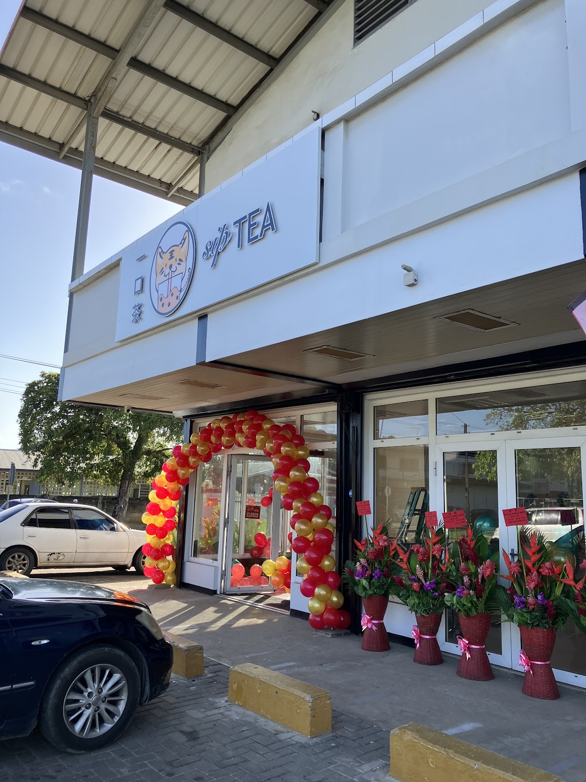 SIP TEA Zinnia