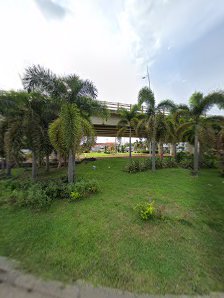 Santa rosa