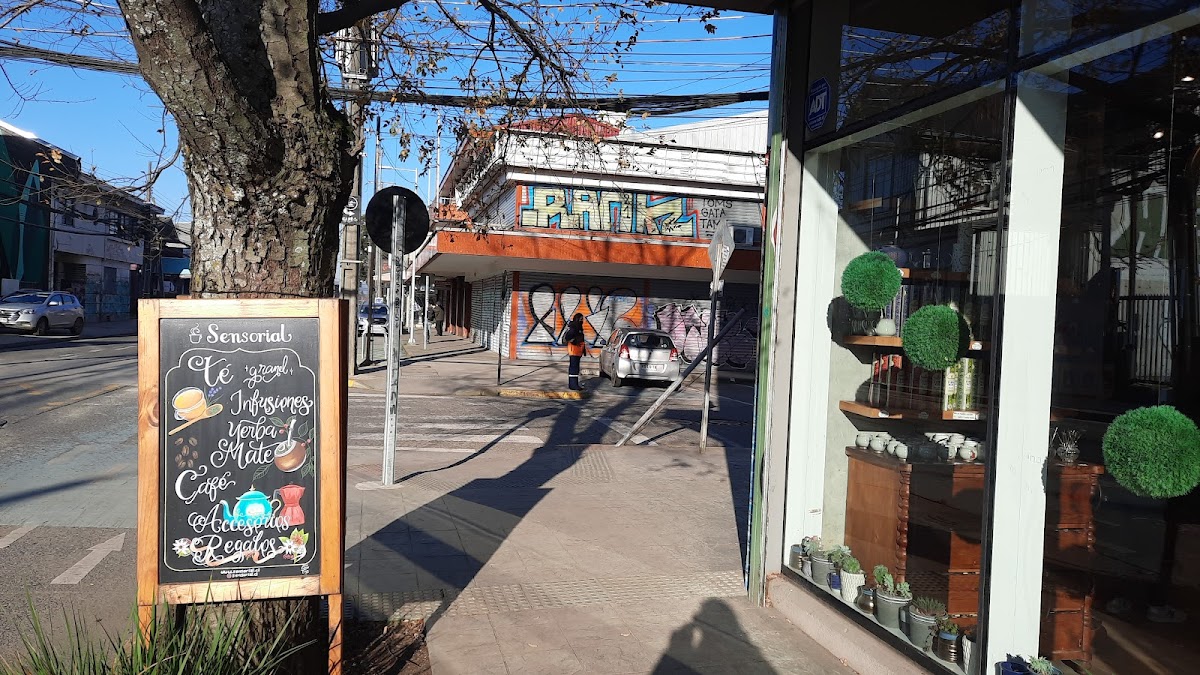 Sensorial - Tienda de Té, Infusiones, Yerba Mate y Café