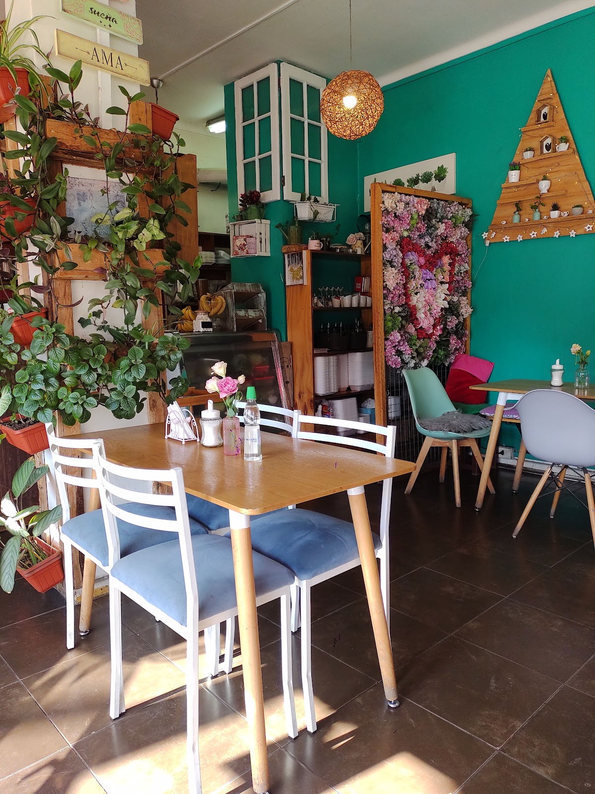 Gallery image 5