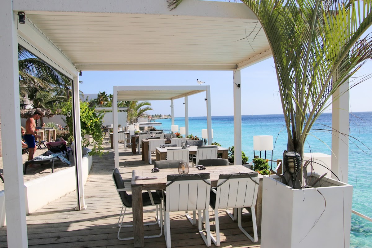 The Beach