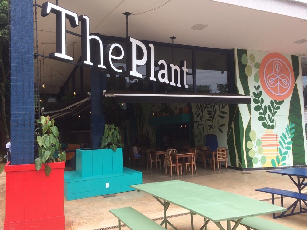The Plant