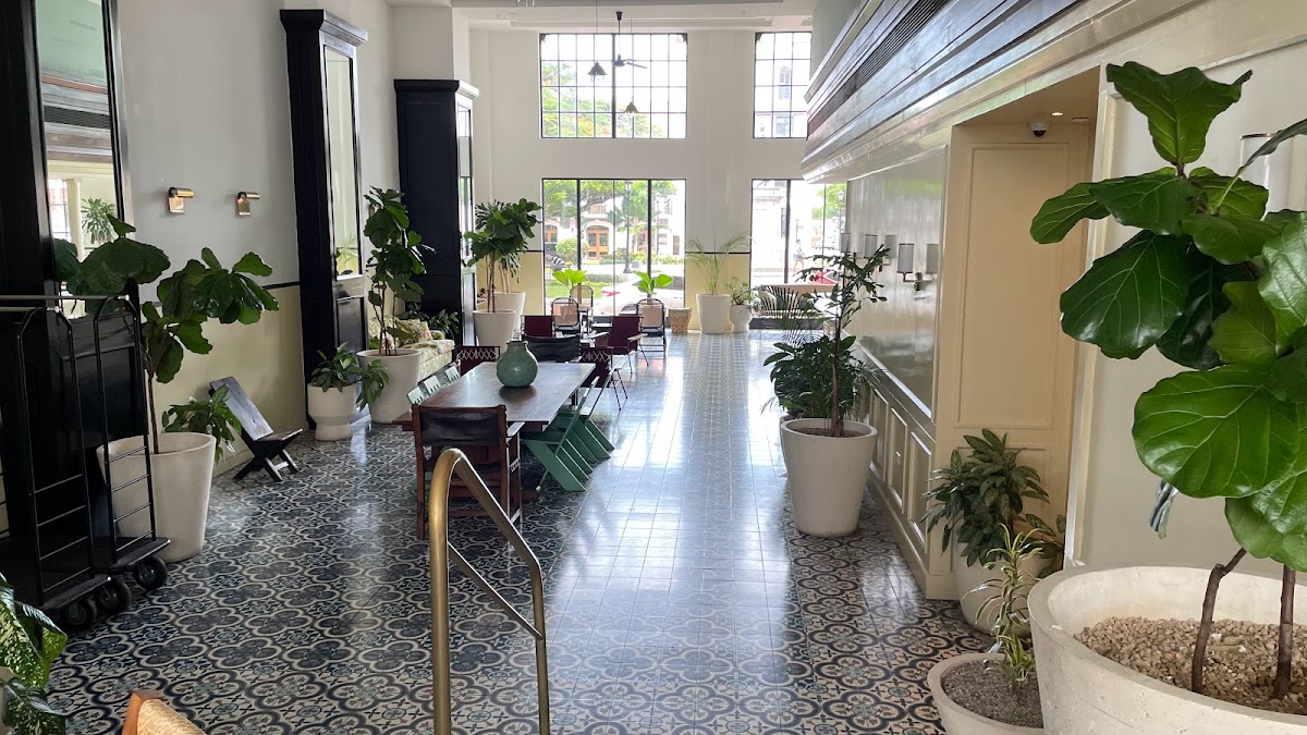 Gallery image 6