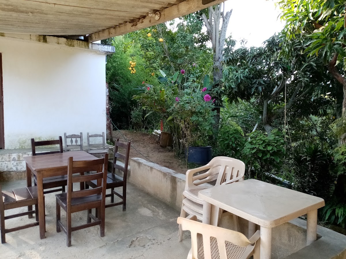 Tienda Las Amarillas