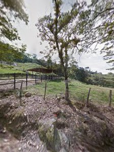 Tienda la florecita