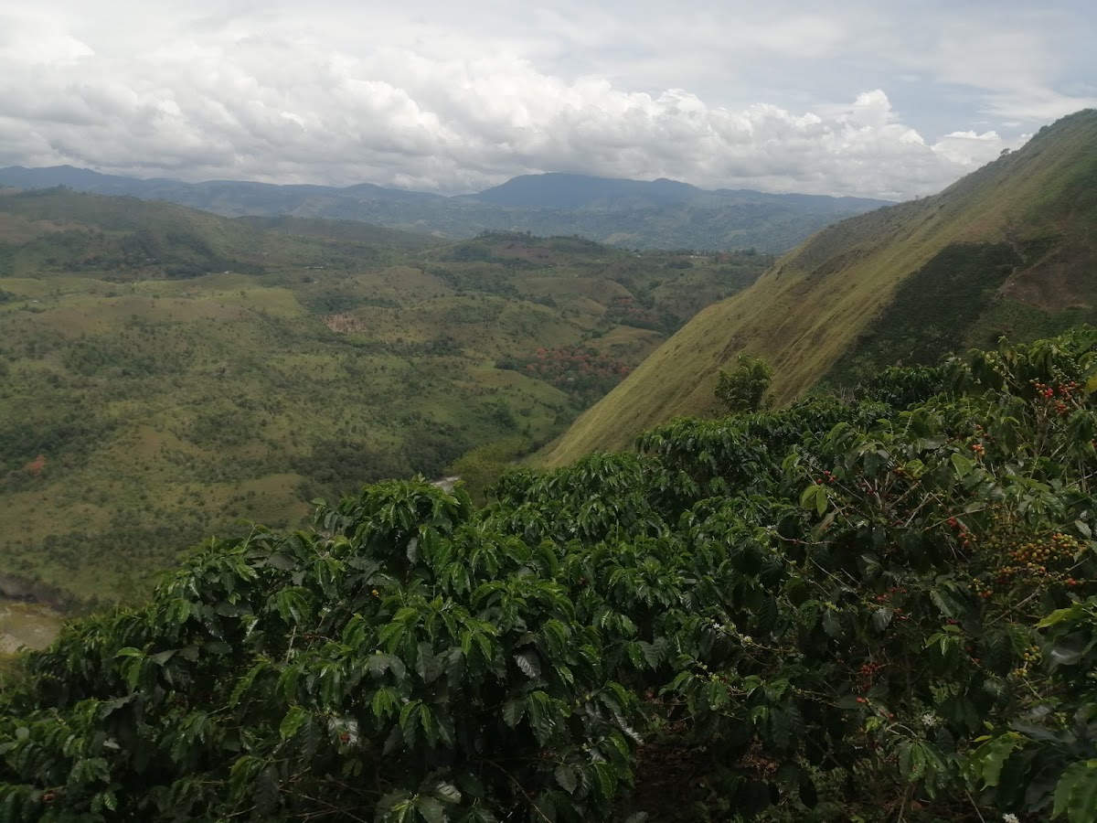 Vereda el Chircal Pitalito