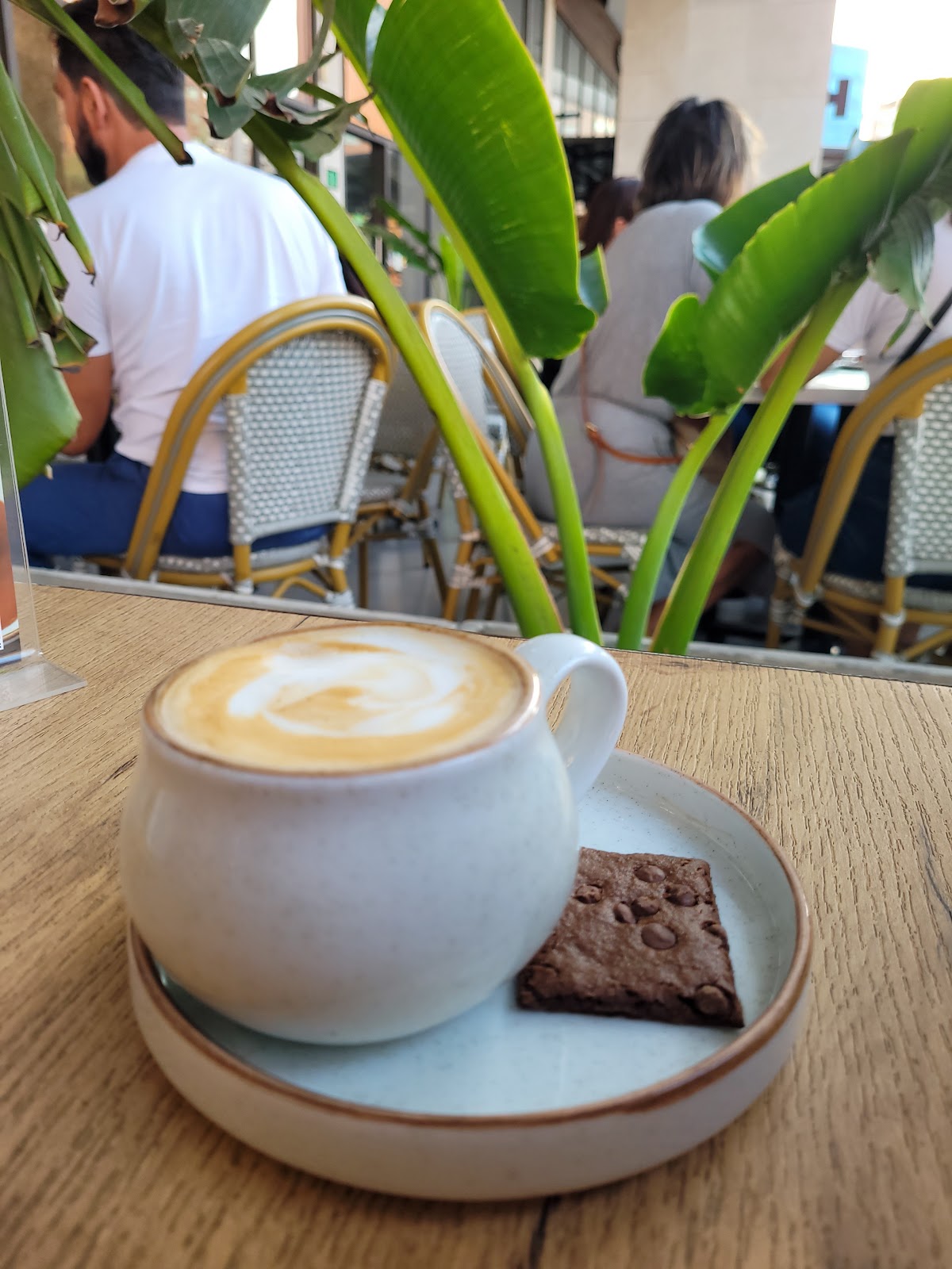 Xocolata