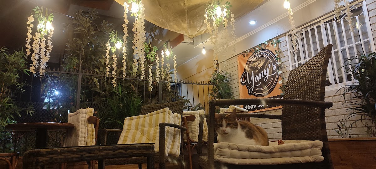 Yany's Coffee