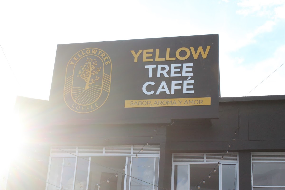 Yellow Tree café y academia