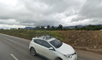 susana