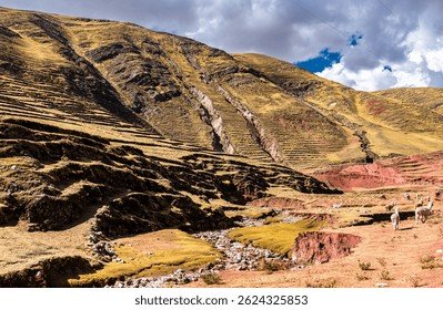 Cuzco Department