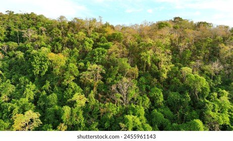 Guyane