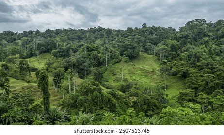 Limón Province