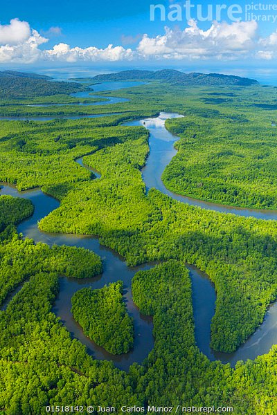 Puntarenas Province