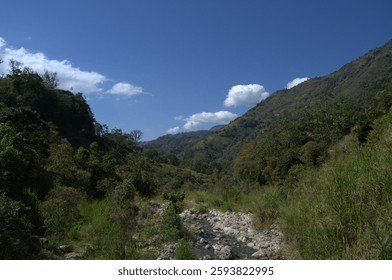 Táchira